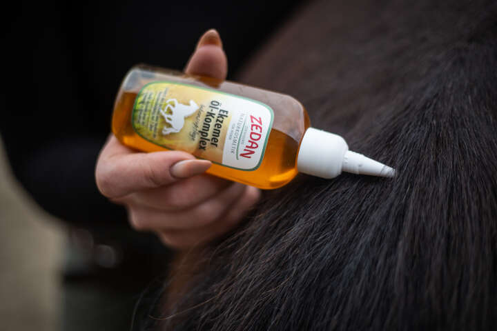 ZEDAN Ekzemer Öl-Komplex Intensivpflege 100ml